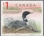 动物:北美洲:加拿大:ca199801.jpg