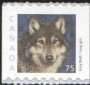 动物:北美洲:加拿大:ca200010.jpg