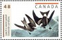 动物:北美洲:加拿大:ca200302.jpg