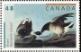 动物:北美洲:加拿大:ca200303.jpg