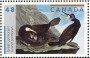 动物:北美洲:加拿大:ca200304.jpg