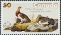 动物:北美洲:加拿大:ca200506.jpg