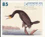 动物:北美洲:加拿大:ca200507.jpg