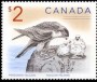 动物:北美洲:加拿大:ca200602.jpg