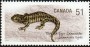 动物:北美洲:加拿大:ca200604.jpg