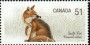 动物:北美洲:加拿大:ca200606.jpg