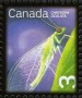 动物:北美洲:加拿大:ca200708.jpg