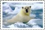 动物:北美洲:加拿大:ca200901.jpg