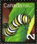 动物:北美洲:加拿大:ca200903.jpg