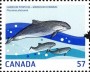 动物:北美洲:加拿大:ca201002.jpg