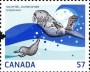 动物:北美洲:加拿大:ca201003.jpg