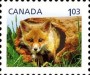 动物:北美洲:加拿大:ca201102.jpg
