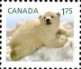 动物:北美洲:加拿大:ca201104.jpg