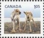 动物:北美洲:加拿大:ca201202.jpg