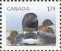 动物:北美洲:加拿大:ca201203.jpg