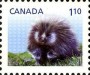 动物:北美洲:加拿大:ca201302.jpg