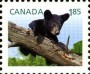 动物:北美洲:加拿大:ca201304.jpg