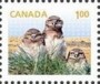 动物:北美洲:加拿大:ca201403.jpg