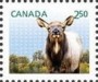 动物:北美洲:加拿大:ca201406.jpg