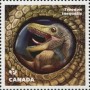 动物:北美洲:加拿大:ca201607.jpg