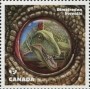 动物:北美洲:加拿大:ca201608.jpg