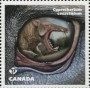 动物:北美洲:加拿大:ca201610.jpg