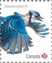 动物:北美洲:加拿大:ca201701.jpg