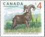 动物:北美洲:加拿大:ca201801.jpg