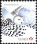 动物:北美洲:加拿大:ca201803.jpg