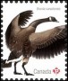 动物:北美洲:加拿大:ca201805.jpg