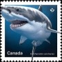 动物:北美洲:加拿大:ca201807.jpg