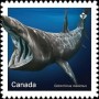 动物:北美洲:加拿大:ca201808.jpg