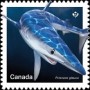 动物:北美洲:加拿大:ca201809.jpg