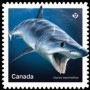 动物:北美洲:加拿大:ca201811.jpg