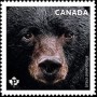 动物:北美洲:加拿大:ca201903.jpg
