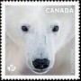 动物:北美洲:加拿大:ca201904.jpg