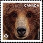 动物:北美洲:加拿大:ca201905.jpg
