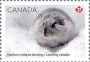 动物:北美洲:加拿大:ca202104.jpg