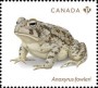 动物:北美洲:加拿大:ca202402.jpg