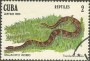 动物:北美洲:古巴:cu198202.jpg