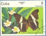 动物:北美洲:古巴:cu198404.jpg