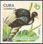 动物:北美洲:古巴:cu198904.jpg