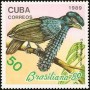 动物:北美洲:古巴:cu198906.jpg