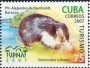 动物:北美洲:古巴:cu200704.jpg