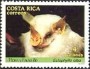 动物:北美洲:哥斯达黎加:cr198603.jpg