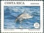 动物:北美洲:哥斯达黎加:cr199301.jpg