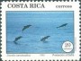 动物:北美洲:哥斯达黎加:cr199302.jpg