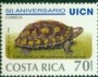 动物:北美洲:哥斯达黎加:cr199802.jpg