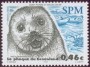 动物:北美洲:圣皮埃尔和密克隆:spm200302.jpg