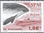 动物:北美洲:圣皮埃尔和密克隆:spm200403.jpg
